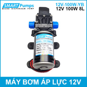 May Bom Ap Luc Mini Smarpumps 12V 100W 8L