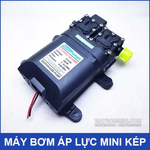 Diaphragm Pump 12v 100W