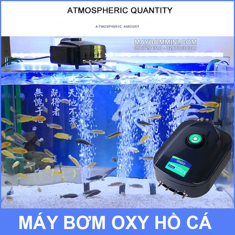 Su Dung May Bom Oxy