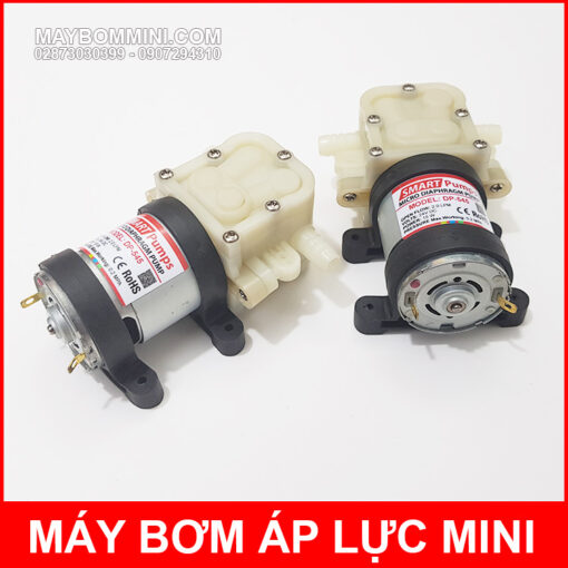 Micro Diaphragm Pump Smartpumps DP 545 24V