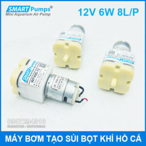 May Bom Oxy Mini 12v 8L Smartpumps